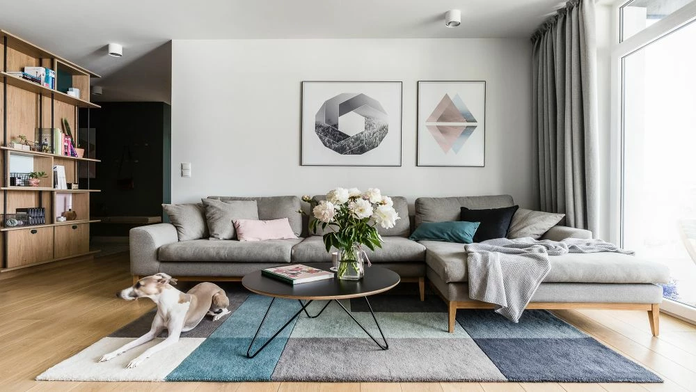 TEDDY BEAR Sales 3 TEDDY BEAR Sales -TEDDY BEAR Sales 3