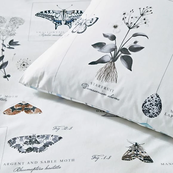 Best Sale ⭐ Natural History Museum Nature's Journal 100% Cotton Duvet Cover and Pillowcase Set ✨ 7 Best Sale ⭐ Natural History Museum Nature's Journal 100% Cotton Duvet Cover and Pillowcase Set ✨ - Image 5