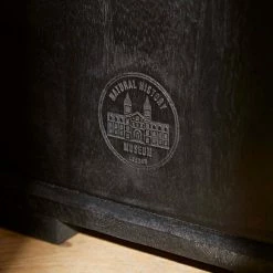 Promo 🎁 Natural History Museum Small Display Cabinet 😉 8 Promo 🎁 Natural History Museum Small Display Cabinet 😉 -TEDDY BEAR Sales 30754173 alt03