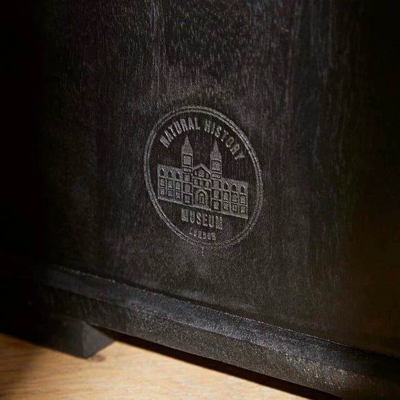 Promo 🎁 Natural History Museum Small Display Cabinet 😉 5 Promo 🎁 Natural History Museum Small Display Cabinet 😉 - Image 4