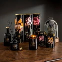 Wholesale โ๏ธ Natural History Museum Tropical Island Diffuser 200ml ๐ 13 Wholesale โ๏ธ Natural History Museum Tropical Island Diffuser 200ml ๐ -TEDDY BEAR Sales 30757057 alt05