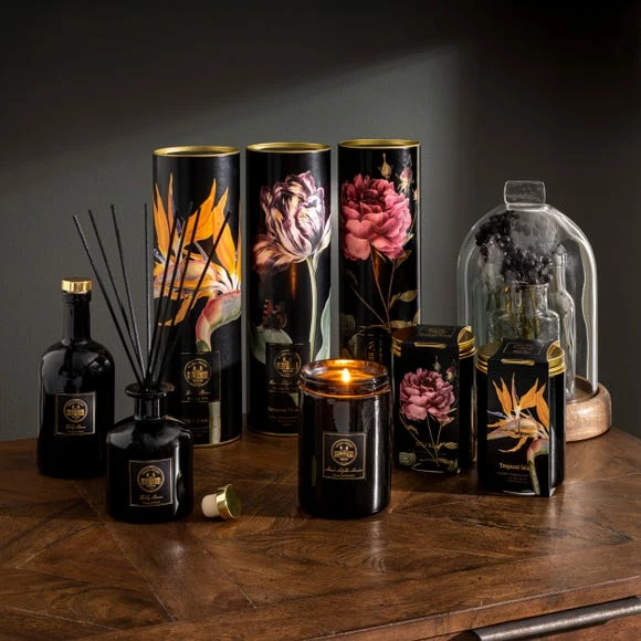 Wholesale โ๏ธ Natural History Museum Tropical Island Diffuser 200ml ๐ 8 Wholesale โ๏ธ Natural History Museum Tropical Island Diffuser 200ml ๐ - Image 6