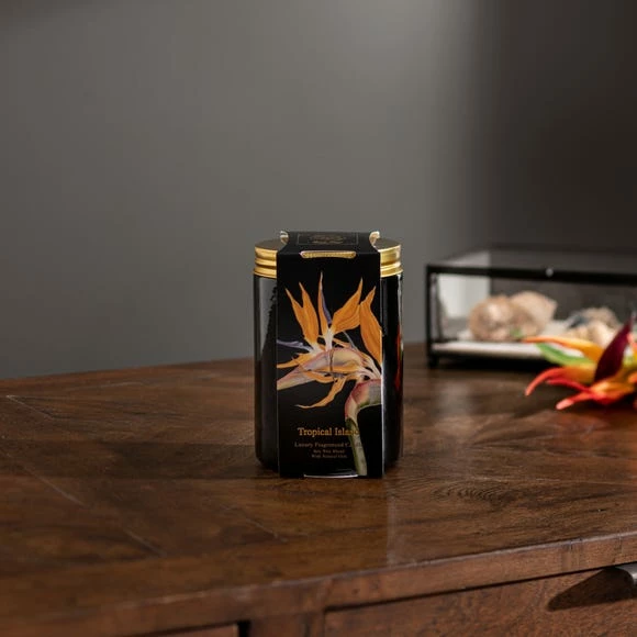 Top 10 👏 Natural History Museum Tropical Paradise Candle 410g 😍 3 Top 10 👏 Natural History Museum Tropical Paradise Candle 410g 😍