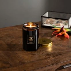 Top 10 👏 Natural History Museum Tropical Paradise Candle 410g 😍 10 Top 10 👏 Natural History Museum Tropical Paradise Candle 410g 😍 -TEDDY BEAR Sales 30757063 alt02