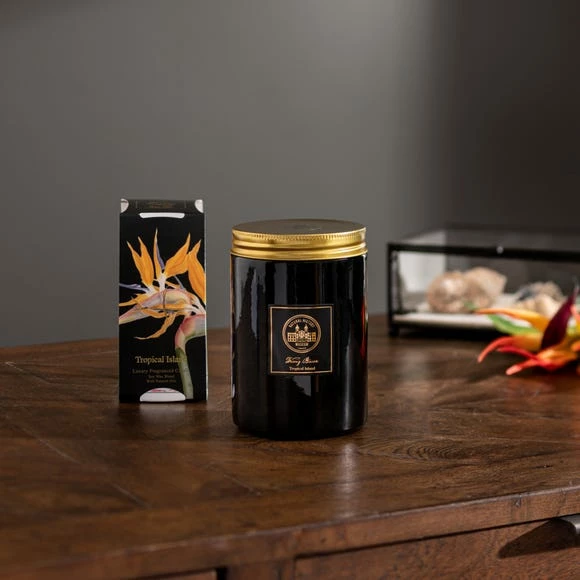Top 10 👏 Natural History Museum Tropical Paradise Candle 410g 😍 6 Top 10 👏 Natural History Museum Tropical Paradise Candle 410g 😍 - Image 4