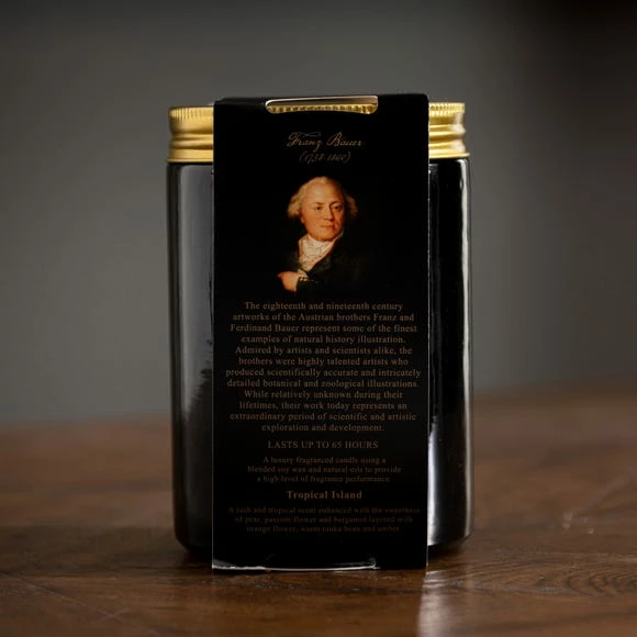 Top 10 👏 Natural History Museum Tropical Paradise Candle 410g 😍 8 Top 10 👏 Natural History Museum Tropical Paradise Candle 410g 😍 - Image 6