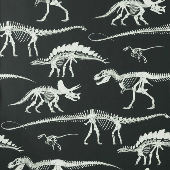 Wholesale π Natural History Museum Fossil Forager Black Wallpaper π 4 Wholesale π Natural History Museum Fossil Forager Black Wallpaper π - Image 2
