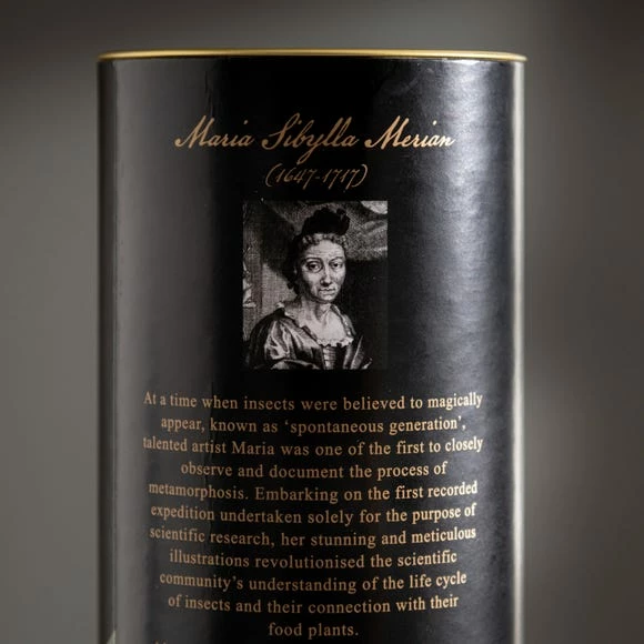 Promo ๐ Natural History Museum Botanical Paradise Diffuser 200ml ๐ฏ 6 Promo ๐ Natural History Museum Botanical Paradise Diffuser 200ml ๐ฏ - Image 5