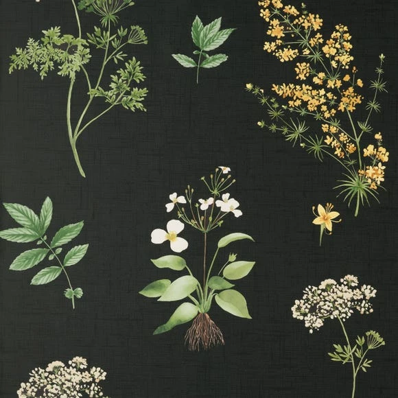 Promo π― Natural History Museum Marsh Botanical Black Wallpaper π 4 Promo π― Natural History Museum Marsh Botanical Black Wallpaper π - Image 2