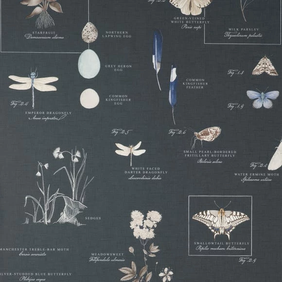 Promo ๐งจ Natural History Museum Nature's Journal Navy Wallpaper โจ 4 Promo ๐งจ Natural History Museum Nature's Journal Navy Wallpaper โจ - Image 2