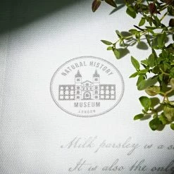 Discount ⌛ Natural History Museum Milk Parsley Tea Towel ✔️ -TEDDY BEAR Sales 30764586 alt02