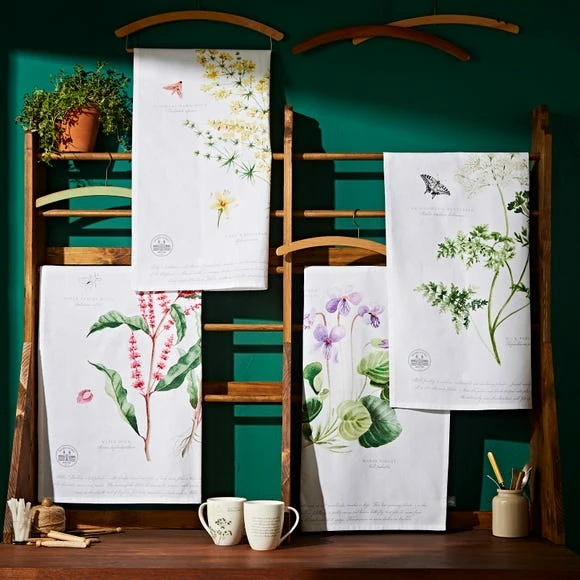 Best deal 🔥 Natural History Museum Marsh Violet Tea Towel 🤩 4 Best deal 🔥 Natural History Museum Marsh Violet Tea Towel 🤩 - Image 2