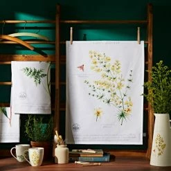 Budget โ Natural History Museum Lady's Bedstraw Tea Towel ๐