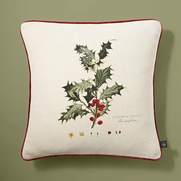 Deals 🛒 Natural History Museum Holly Cushion 🎁 8 Deals 🛒 Natural History Museum Holly Cushion 🎁 - Image 6